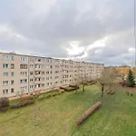 Comfort Narcyzowa Daire *